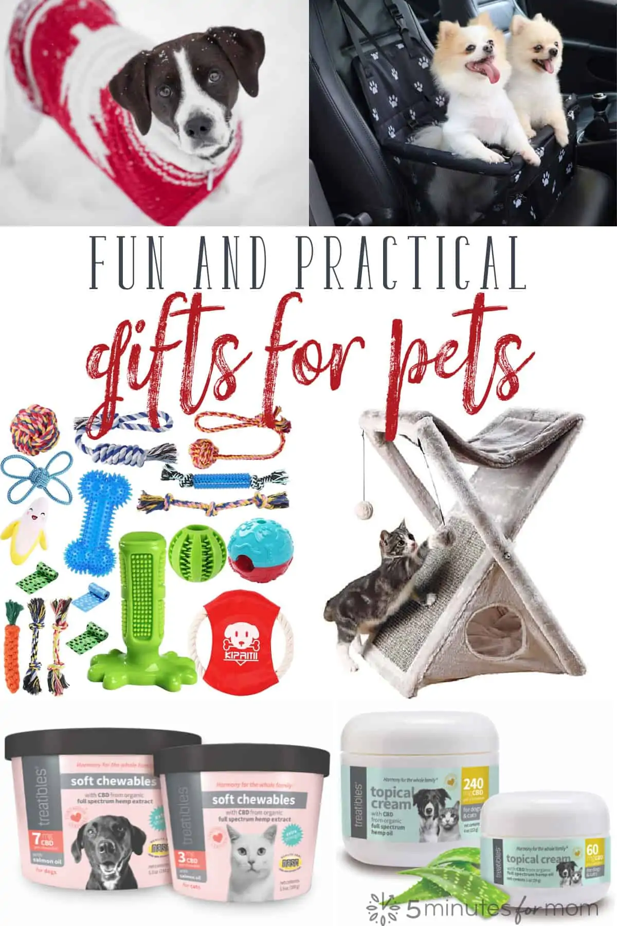 Fun and Practical Gifts for Pets